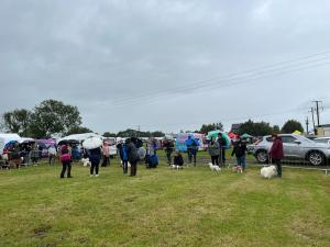 IMG-20220823-WA0005