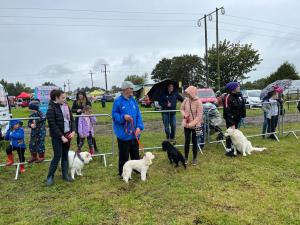 IMG-20220823-WA0008