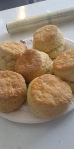 IMG-20220824-WA0002