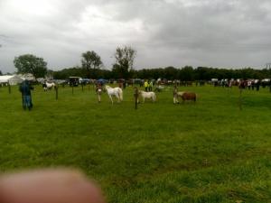 IMG-20220824-WA0010