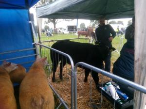 IMG-20220824-WA0012
