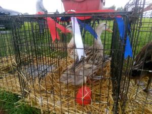 IMG-20220824-WA0014