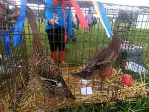 IMG-20220824-WA0021