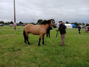 IMG-20240818-WA0032
