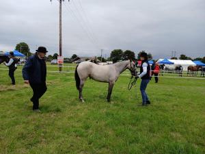 IMG-20240818-WA0037