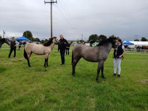 IMG-20240818-WA0040