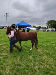 IMG-20240818-WA0042