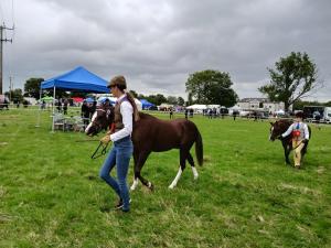 IMG-20240818-WA0044