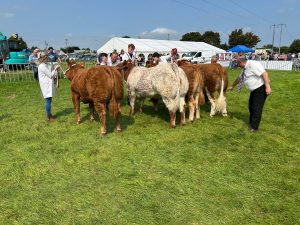 IMG-20250817-WA0068 (1)